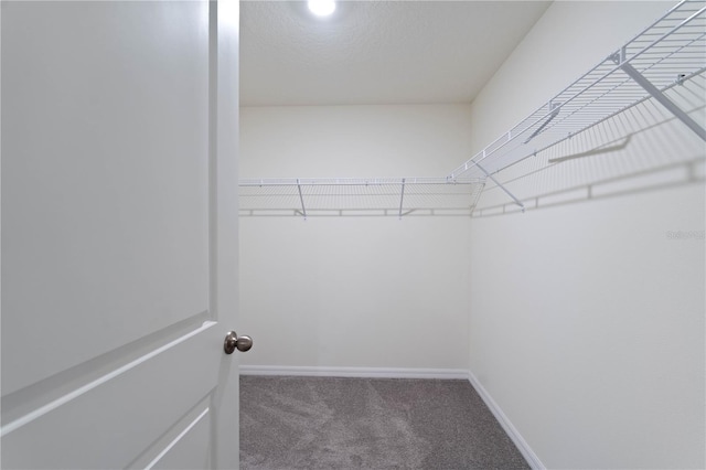 spacious closet with carpet