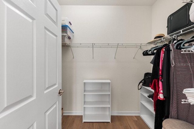 spacious closet featuring hardwood / wood-style flooring