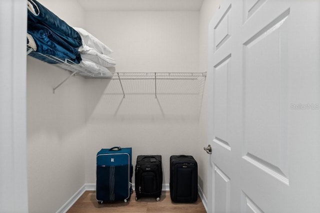 walk in closet with wood-type flooring