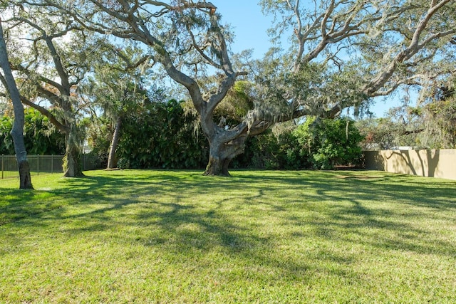 view of yard