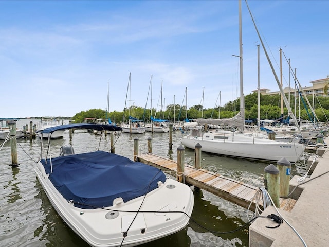 dock area with a water view