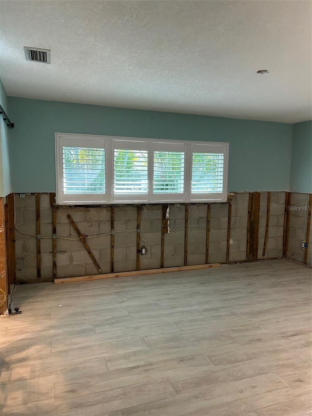 spare room with plenty of natural light, a textured ceiling, and light wood-type flooring