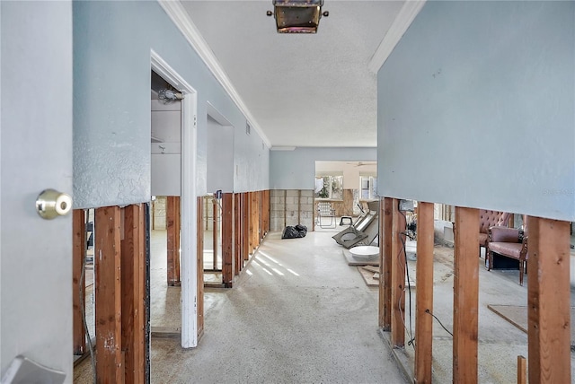 corridor with ornamental molding
