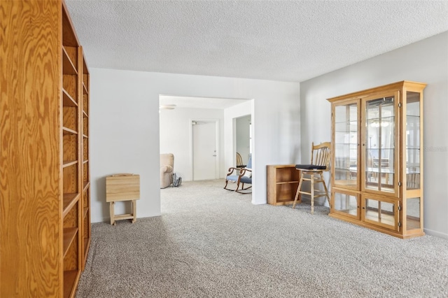 empty room with carpet floors and a textured ceiling