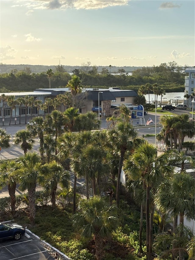 18400 Gulf Blvd Unit 1505, Indian Shores, FL 33785 - exterior space