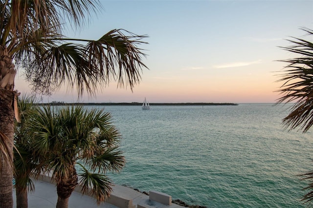 view of water feature