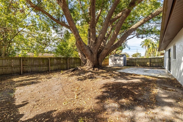 view of yard with a patio and a storage unit