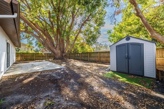 view of yard with a storage unit and a patio area