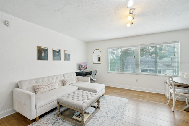 living room with hardwood / wood-style floors