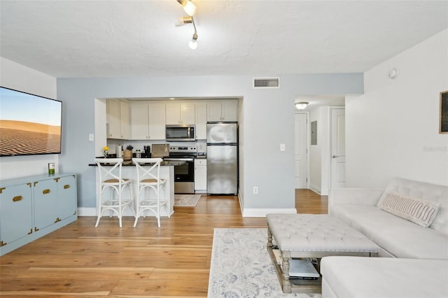 living room with light hardwood / wood-style flooring