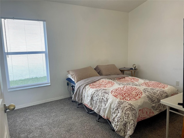 bedroom with carpet floors