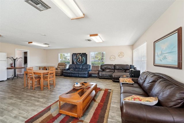 living room with hardwood / wood-style flooring and a textured ceiling