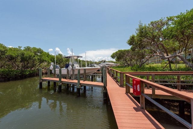 dock area with a water view