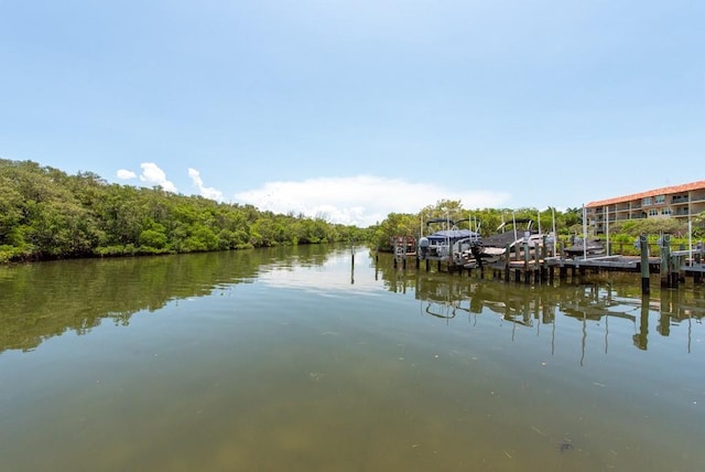 view of dock with a water view