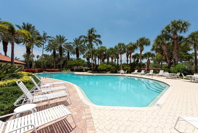 view of swimming pool featuring a patio area