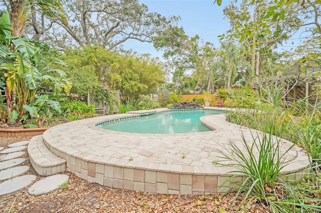 view of swimming pool