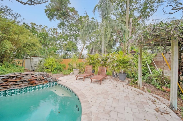 view of swimming pool with a patio area