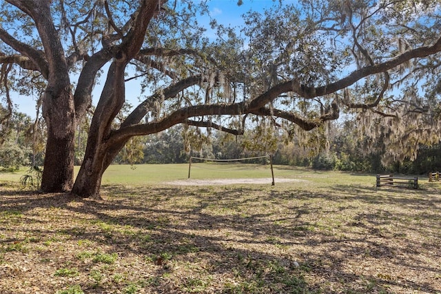 view of yard featuring volleyball court