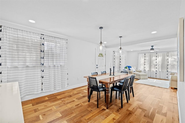 dining area with ceiling fan and light wood-type flooring