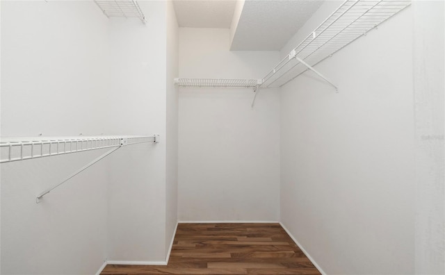 walk in closet with dark hardwood / wood-style flooring