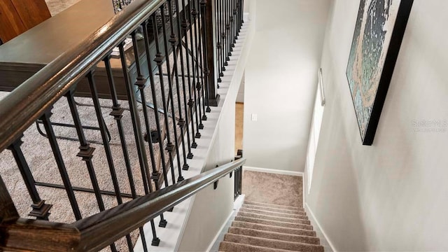 stairway with carpet floors