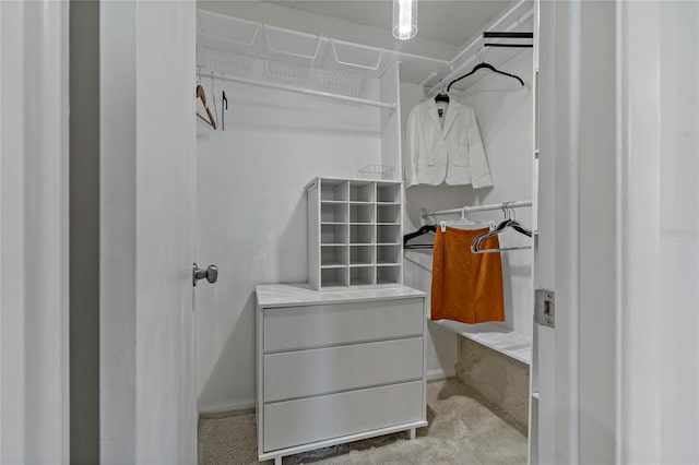 spacious closet featuring light colored carpet