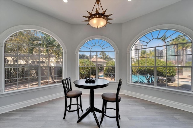 dining space with hardwood / wood-style flooring