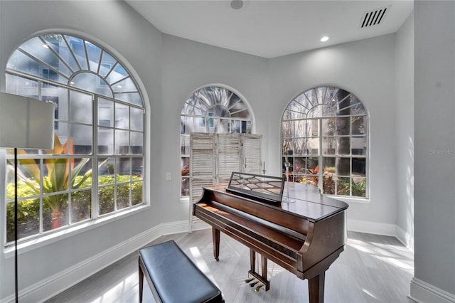 miscellaneous room featuring plenty of natural light and light hardwood / wood-style floors