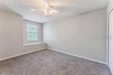 empty room featuring ceiling fan and carpet floors