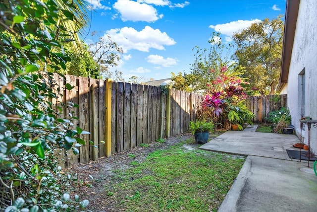 view of yard featuring a patio