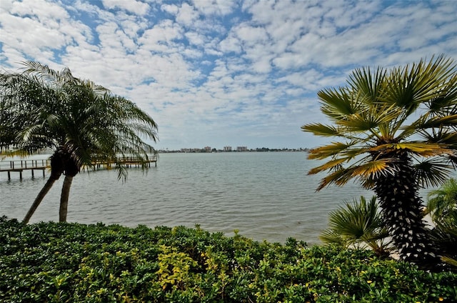 4725 Cove Cir Unit 211, Saint Petersburg, FL 33708 - photo 42