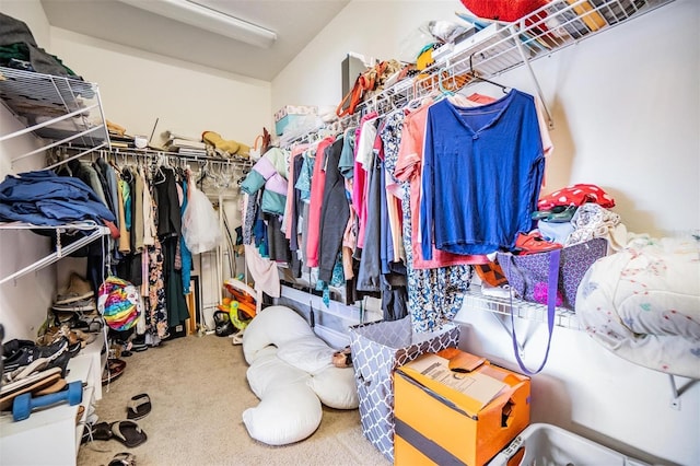 spacious closet featuring carpet flooring