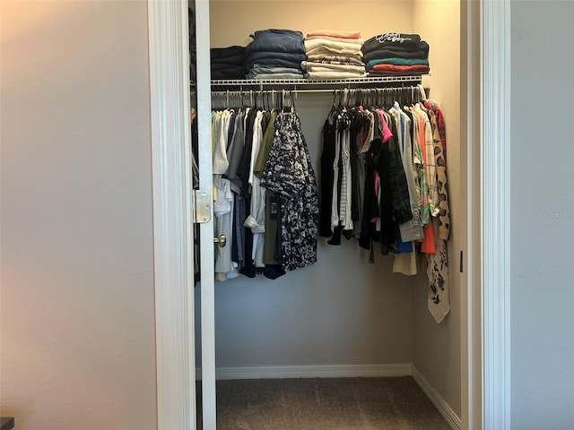 view of closet