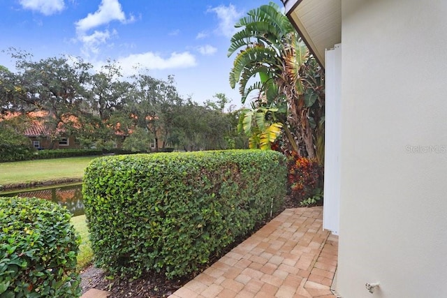 2867 Grey Oaks Blvd, Tarpon Springs, FL 34688 - view of yard
