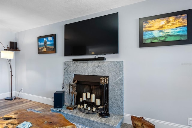 room details with wood-type flooring and a fireplace