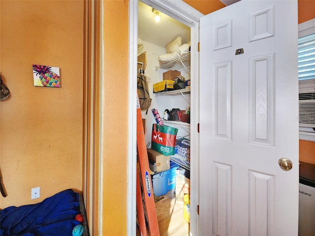view of closet
