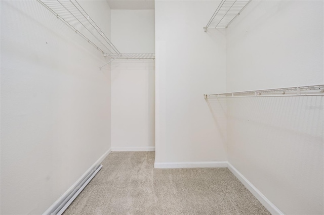 walk in closet with light carpet