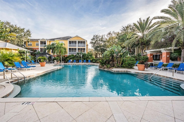 view of swimming pool with a patio area