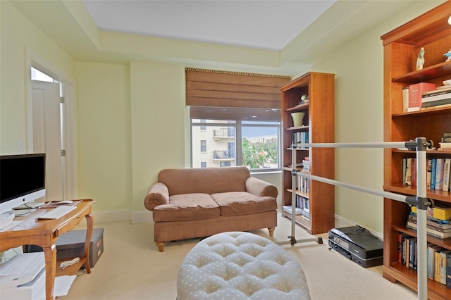 sitting room featuring light carpet