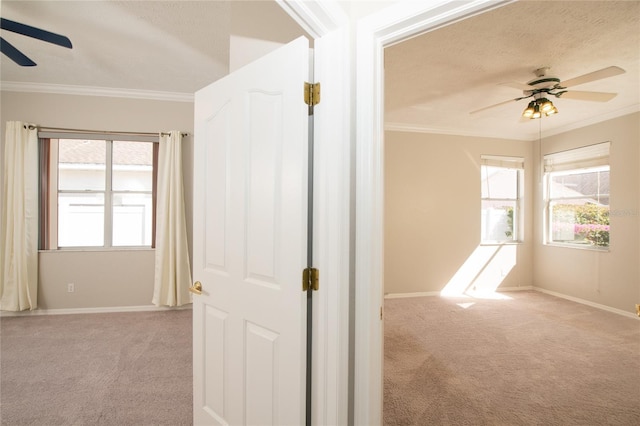 hall featuring ornamental molding, a wealth of natural light, and light carpet