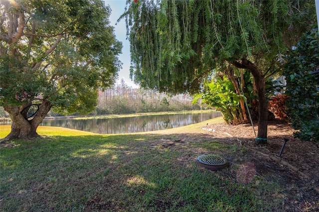 view of yard with a water view