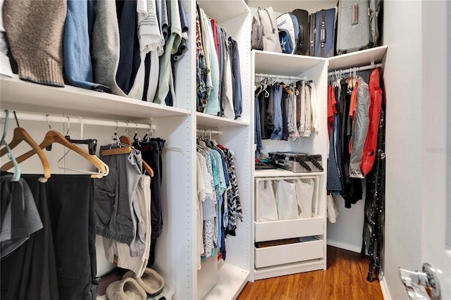 spacious closet with hardwood / wood-style floors