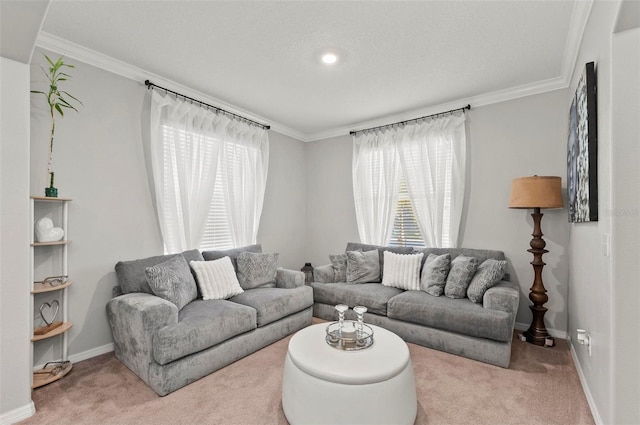 living area with baseboards, ornamental molding, and carpet flooring