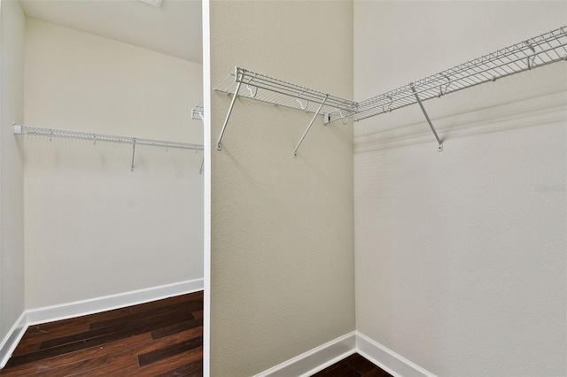 spacious closet featuring dark hardwood / wood-style floors