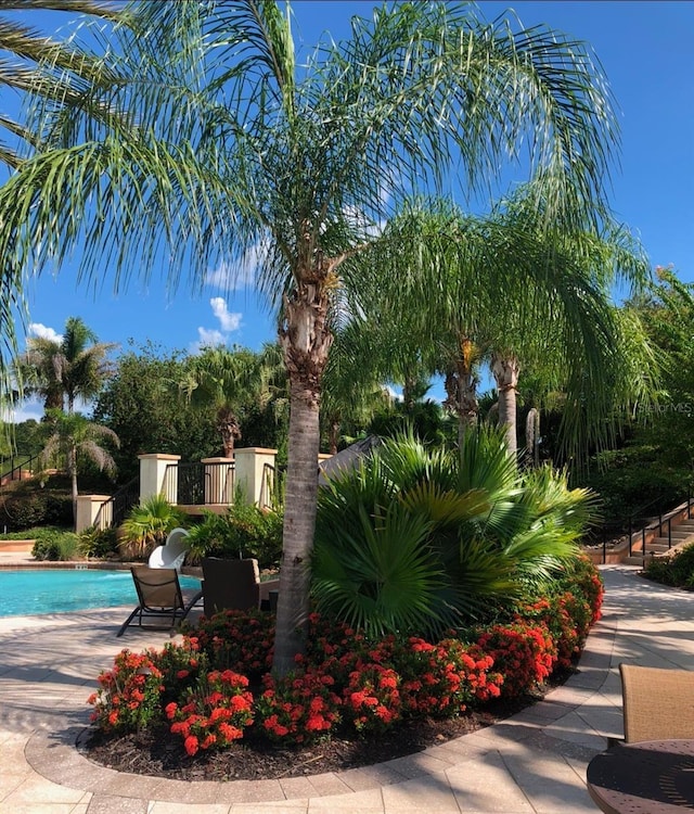 view of swimming pool with a patio area