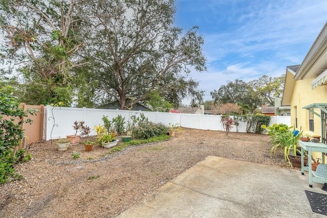 view of yard featuring a patio