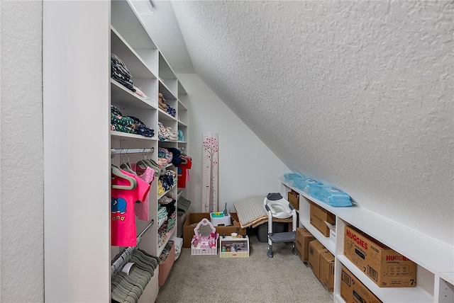 spacious closet with light carpet