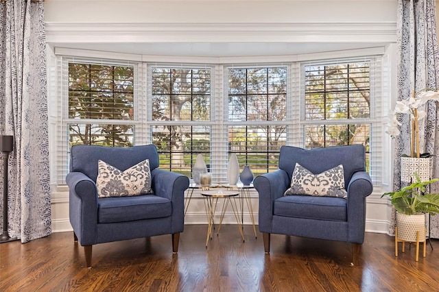 sitting room with dark hardwood / wood-style flooring