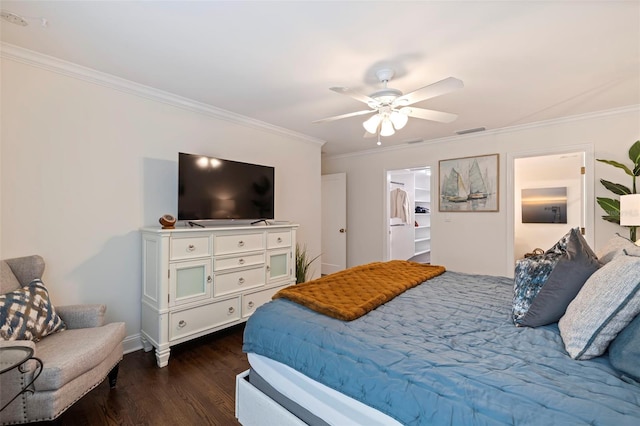 bedroom with crown molding, ceiling fan, dark hardwood / wood-style floors, and a spacious closet