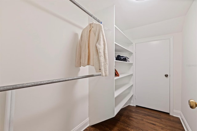 walk in closet with dark wood-type flooring